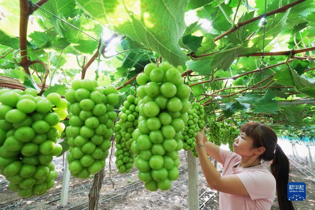 188宝金博备用网址